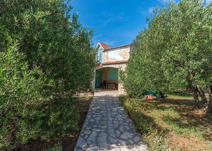 House Tiana בית נופש *